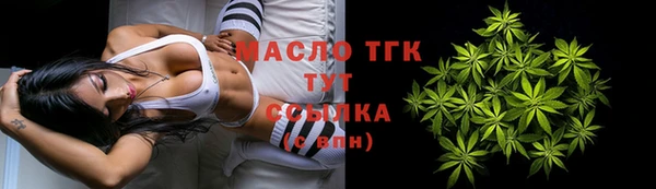 бошки Заводоуковск