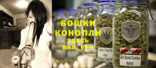 стаф Елабуга