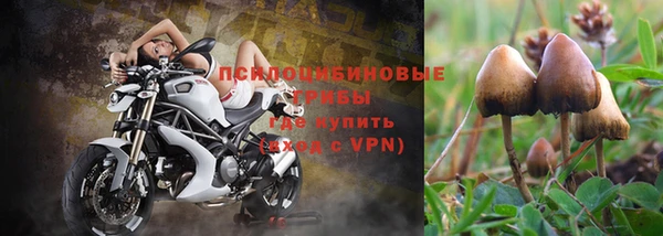стаф Елабуга