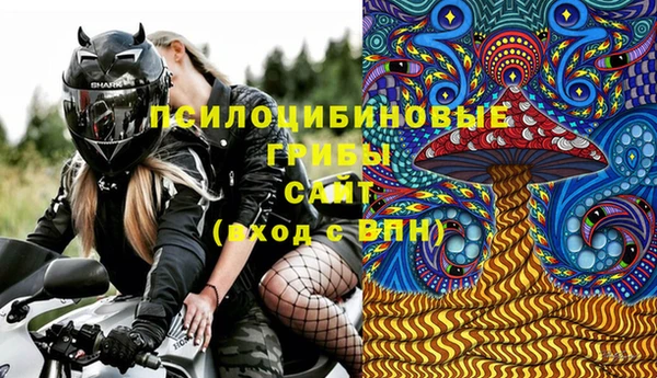 спиды Елизово