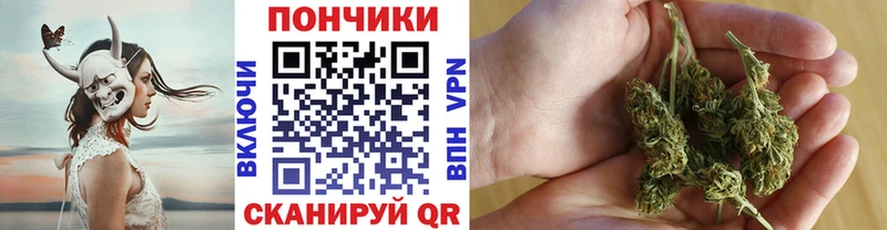 Купить  Ленинск-Кузнецкий  Бошки Шишки MAZAR 
